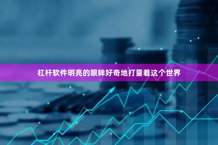 杠杆软件明亮的眼眸好奇地打量着这个世界